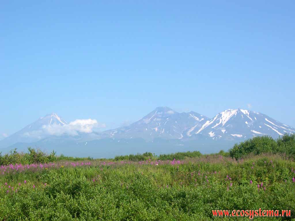 Вид на вулканы Корякский (3456 м), Авачинский (2741 м) и Козельский (2189 м)
(слева направо) из Авачинской долины