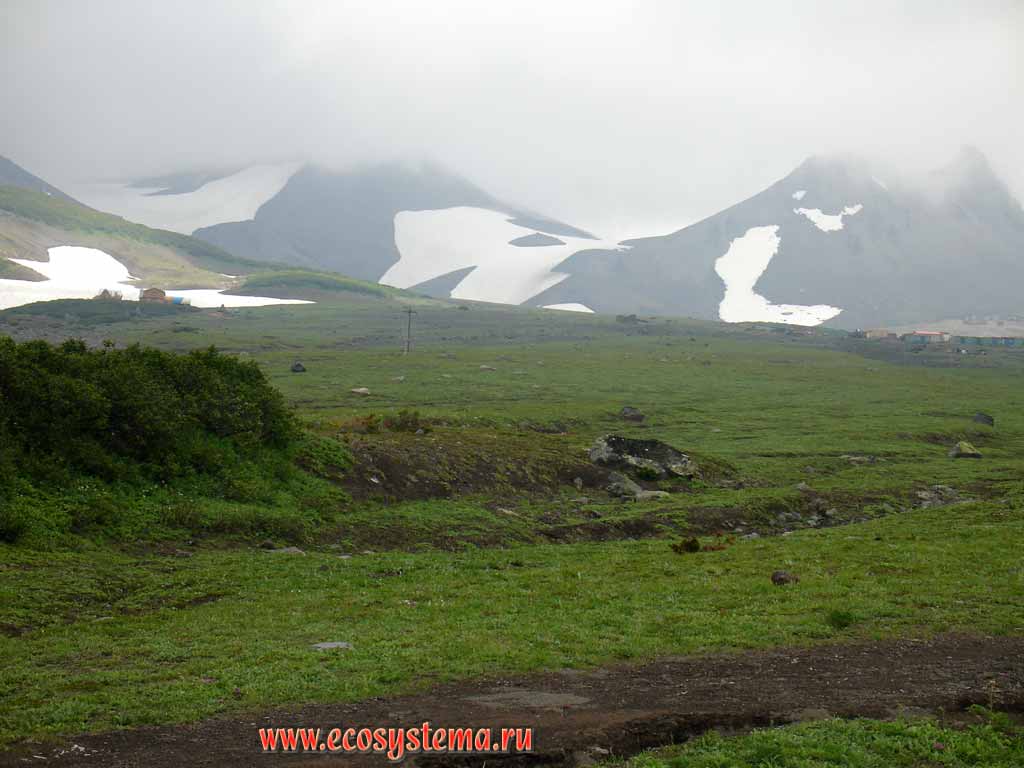 Subalpine meadows on the Avachinsky volcano basement (900 � above sea level).
View to the Camel rock