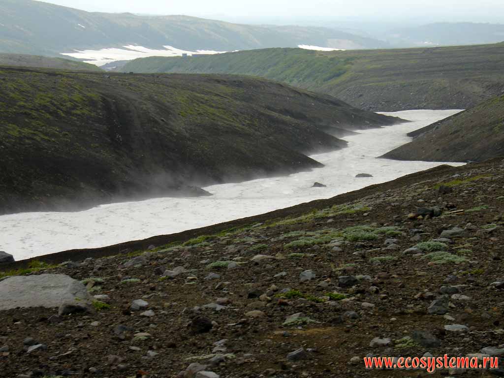 Snowfield in the mountain river valley. Subalpine zone at the Avachinsky volcano
basement (900 � above sea level)