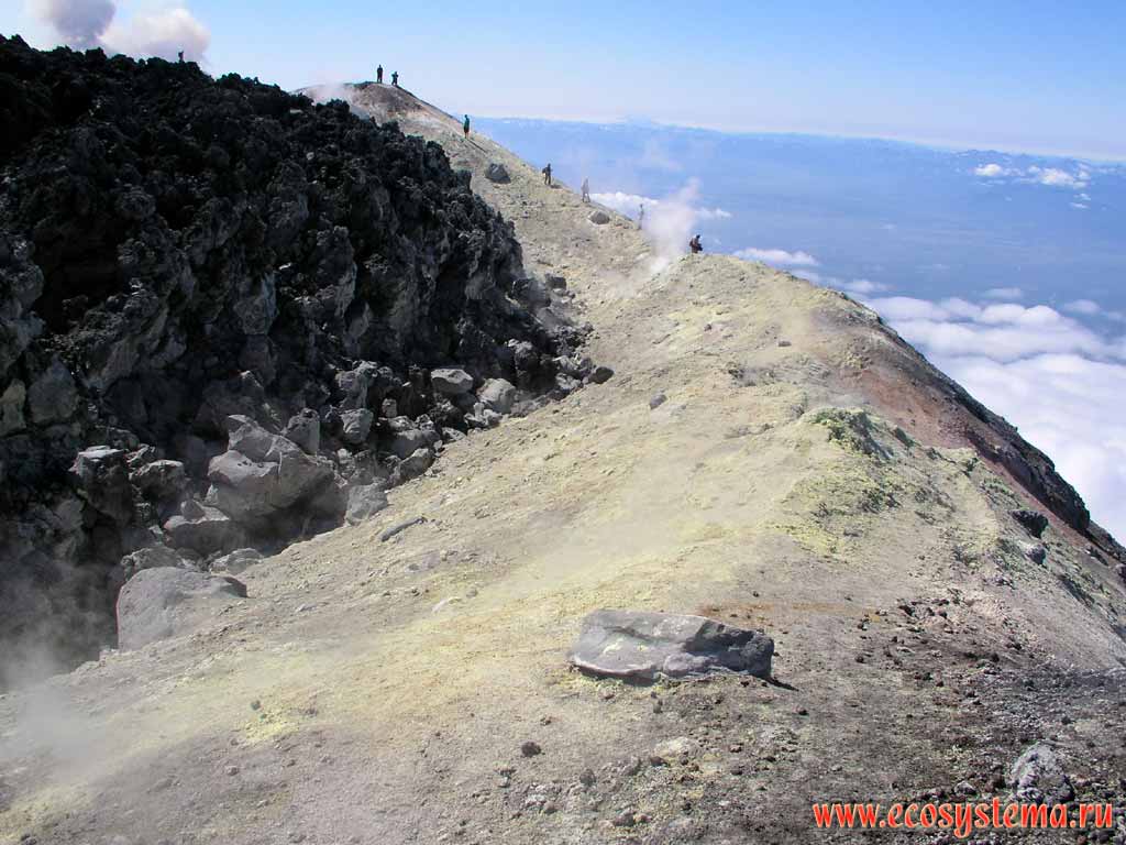 Верхняя кромка кратера вулкана Авачинский (2740 м).
Желтая поверхность - отложения серы, слева - лавовая пробка (черного цвета)