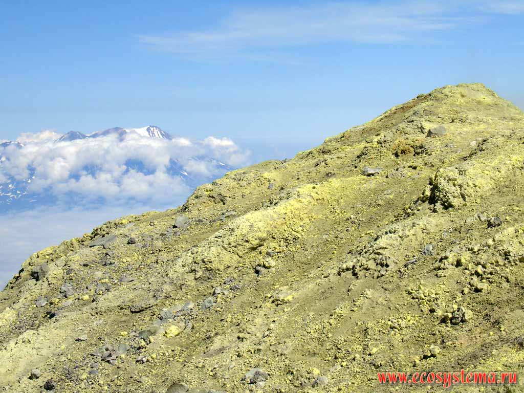 Avachinsky volcano upper crater edge (altitude - 2740 meters above sea level),
covered by volcano sulfur sediments (yellow)