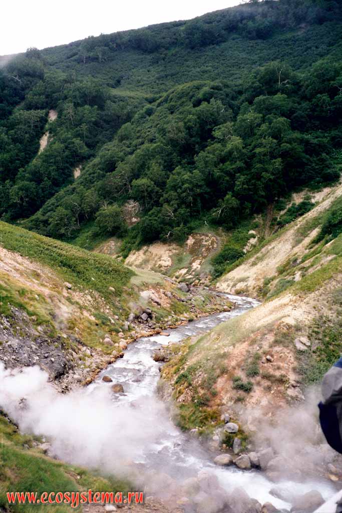 Geysernaya River in the Geyser Valley (the Valley of the Geysers) in 2002
