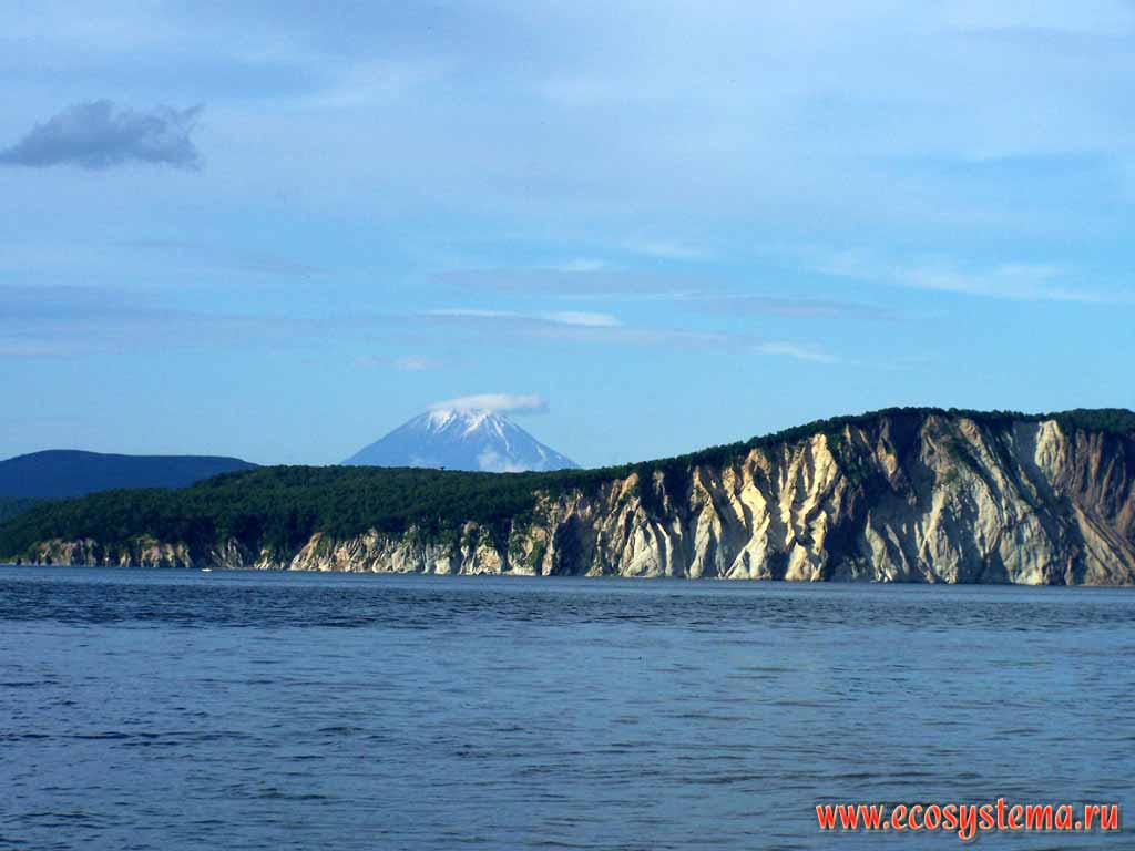 Вулкан Вилючинский (2175 м).
Вид с косы бухты Саранной