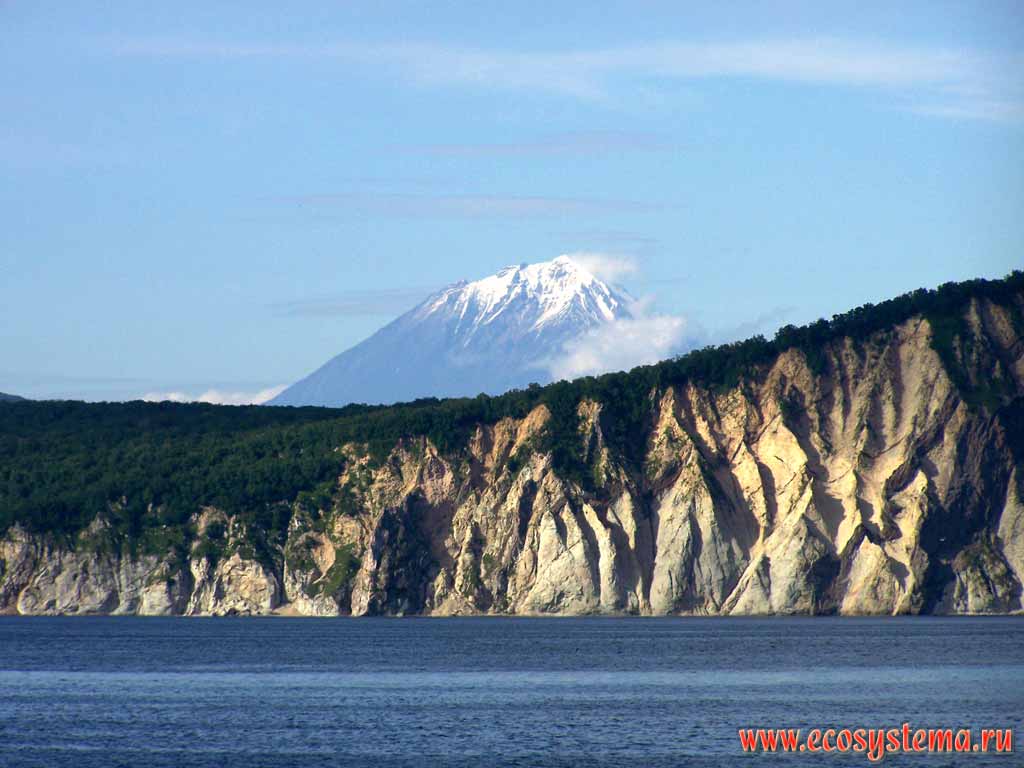 Viluchinsky volcano (height 2175 �). View from Sarannaya Bay, Pacific Ocean coast