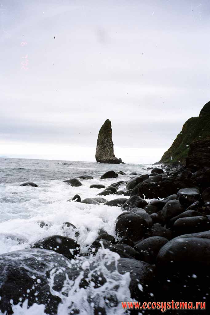 Thunderbolt - basalt outlier, with bird colony. Starichkov Island, Pacific Ocean