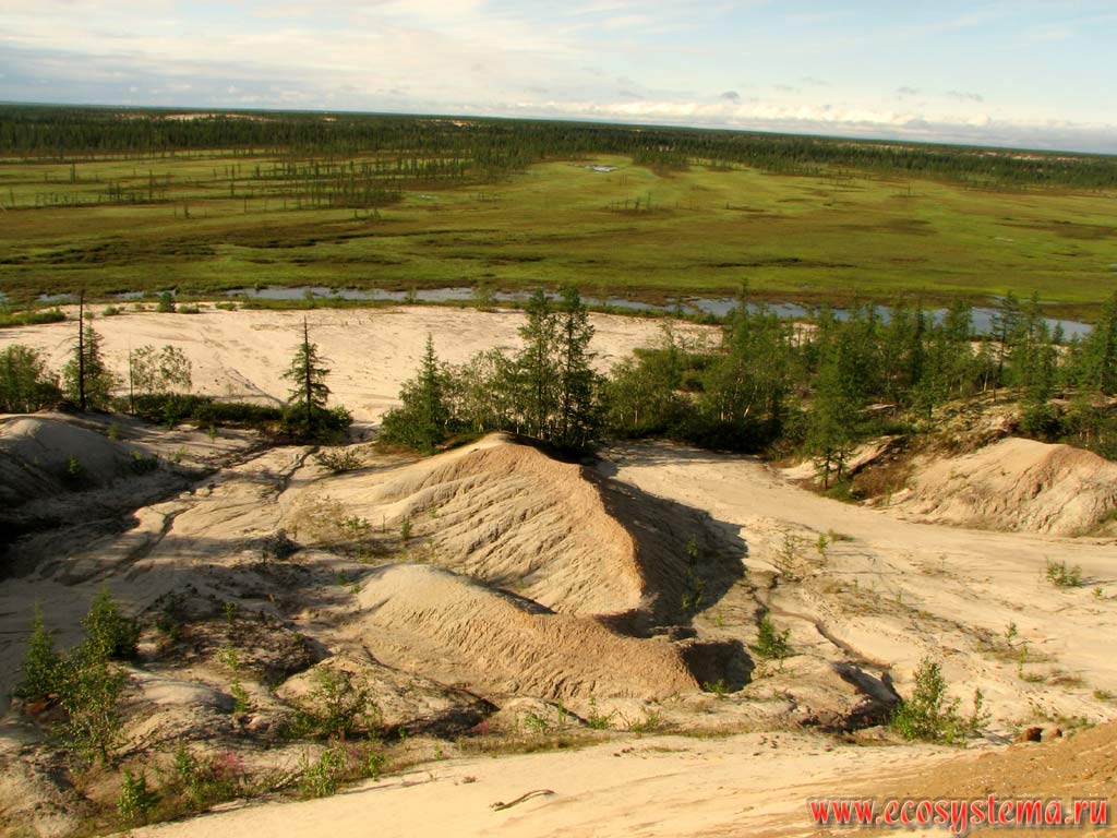 Водно-гляциальная эрозия склона коренного берега.
Тазовская провинция тундровой зоны, север Западной Сибири