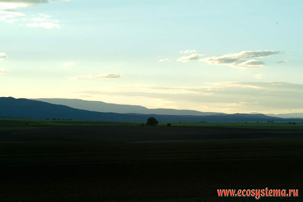 Сельскохозяйственный ландшафт Нью-Мексико. Вдали - отроги плато Колорадо в Аризоне.
Зона степей и пустынь предгорий Кордильер Юго-запада США