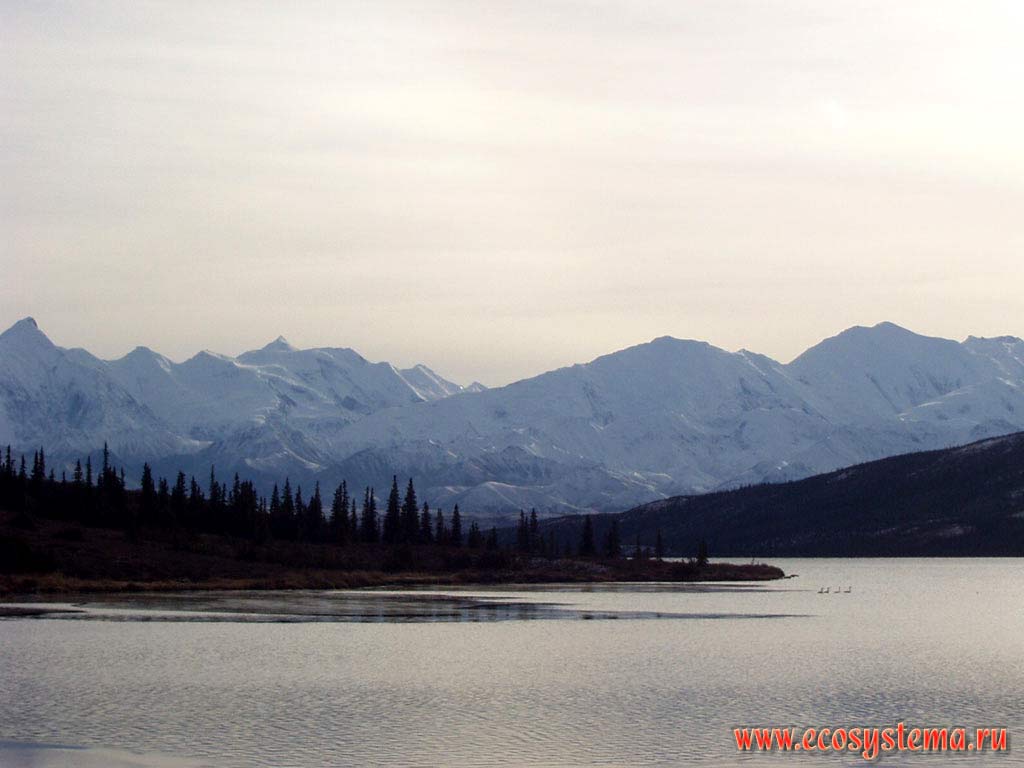 Mt. McKinley Wonder Lake, Denali National Park, Alaska