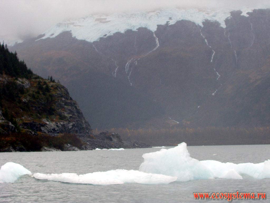 Лед в озере Чудес, отколовшийся от горных ледников. Национальный парк Денали.
Горный Запад Северной Америки, Кордильеры Аляски, США, штат Аляска