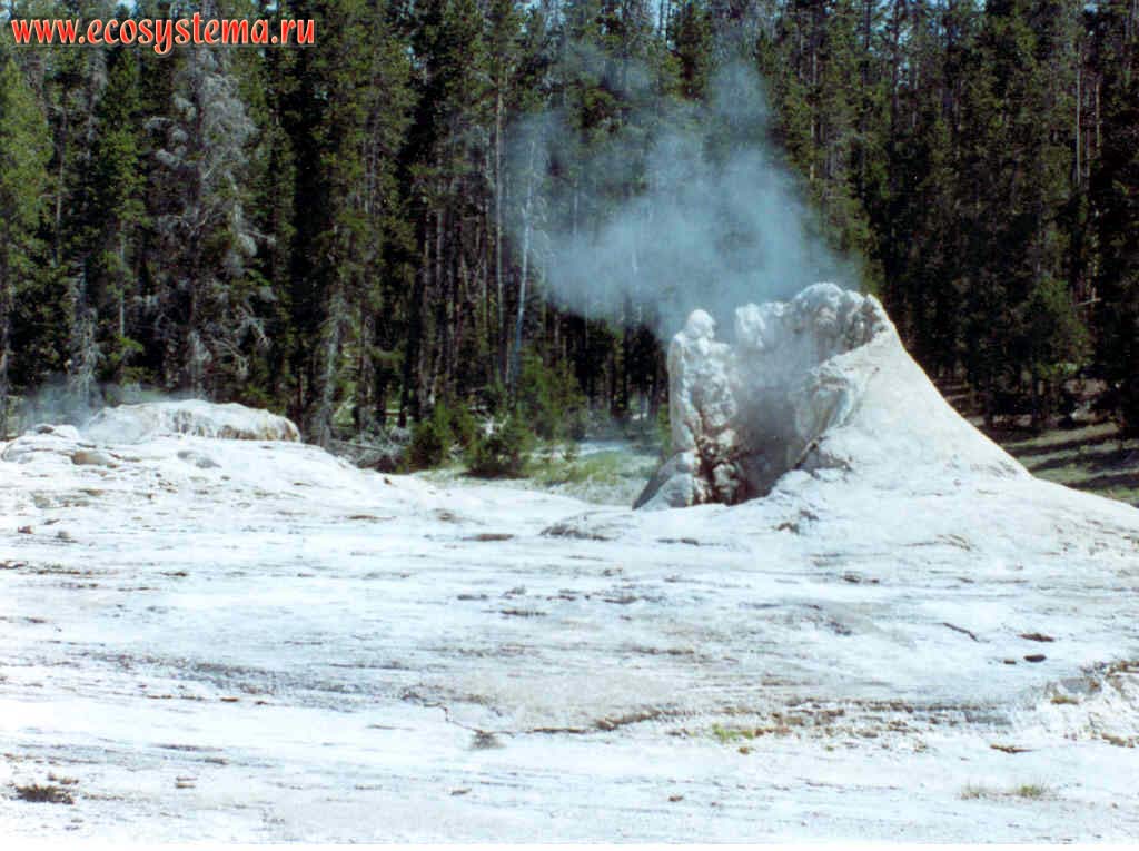Конус из известковых отложений (отложений гейзерита и травертина) гейзера.
Йеллоустонский национальный парк. Горный Запад Северной Америки, Кордильеры северо-запада США, Скалистые горы, штат Вайоминг