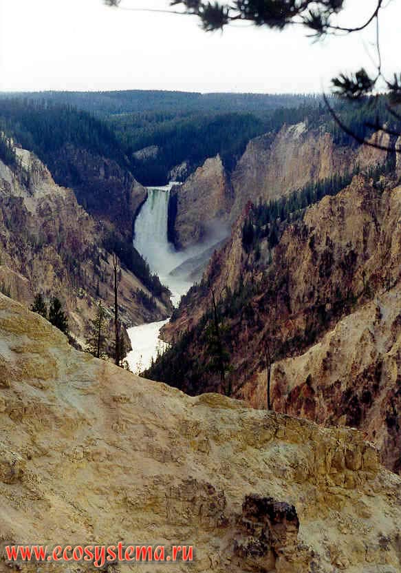 Большой каньон  и Нижний водопад на реке Йеллоустон. Йеллоустоунский национальный парк.
Горный Запад Северной Америки, Кордильеры северо-запада США, Скалистые горы, штат Вайоминг