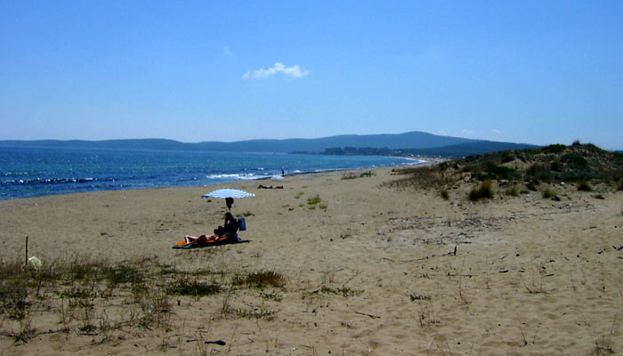 Дикий пляж недалеко от поселка Дюни