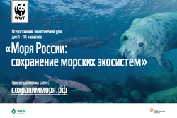 Готовый экологический урок проекта ЭкоКласс и WWF Моря России: сохранение морских экосистем - перейти на сайт