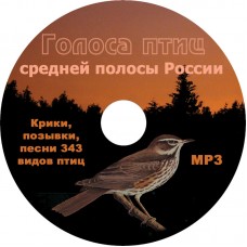 Голоса птиц средней полосы России
