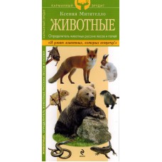 Животные. Определитель животных русских лесов и полей. К. Митителло