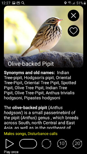 Mobile application field guide Birds of Europe: Songs, Calls and Voices - image and text description