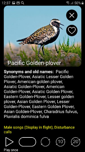 Birds of Russia Songs and Calls: mobile field guide - bird calls playback options