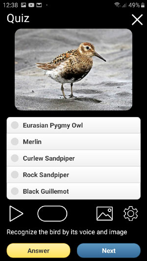 Birds of Russia Songs and Calls: mobile field guide - Bird Quiz screen