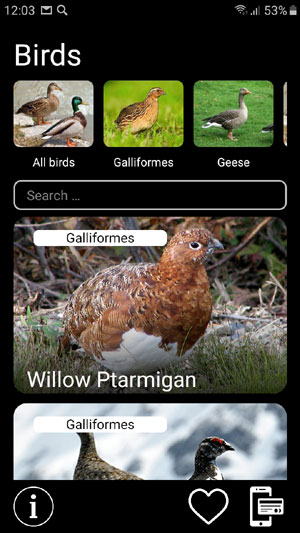 Mobile field Guide app Bird Decoys: European Birds Songs, Calls, Sounds - main screen with all bird species