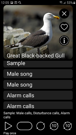 Mobile field Guide app Bird Decoys: European Birds Songs, Calls, Sounds - playback options