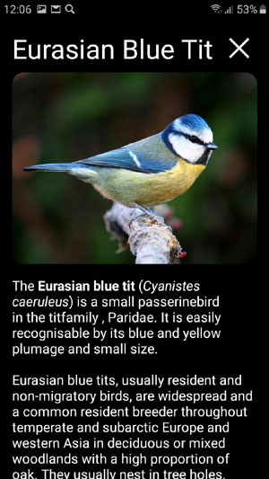 Mobile field Guide app Bird Decoys: European Birds Songs, Calls, Sounds - image and text description