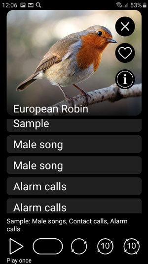 Mobile field Guide app Bird Decoys: European Birds Songs, Calls, Sounds - protect birds from stress