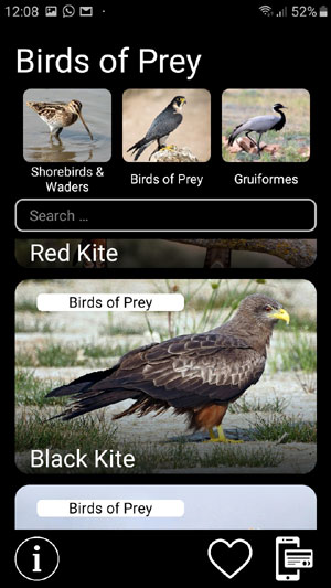 Mobile field Guide app Bird Decoys: European Birds Songs, Calls, Sounds - Birds of Prey group