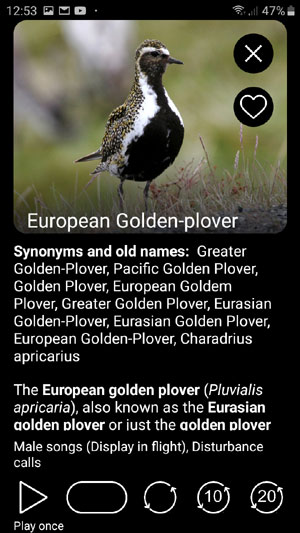 Mobile app Birds of Europe PRO: Field Identification Guide - text description and bird image