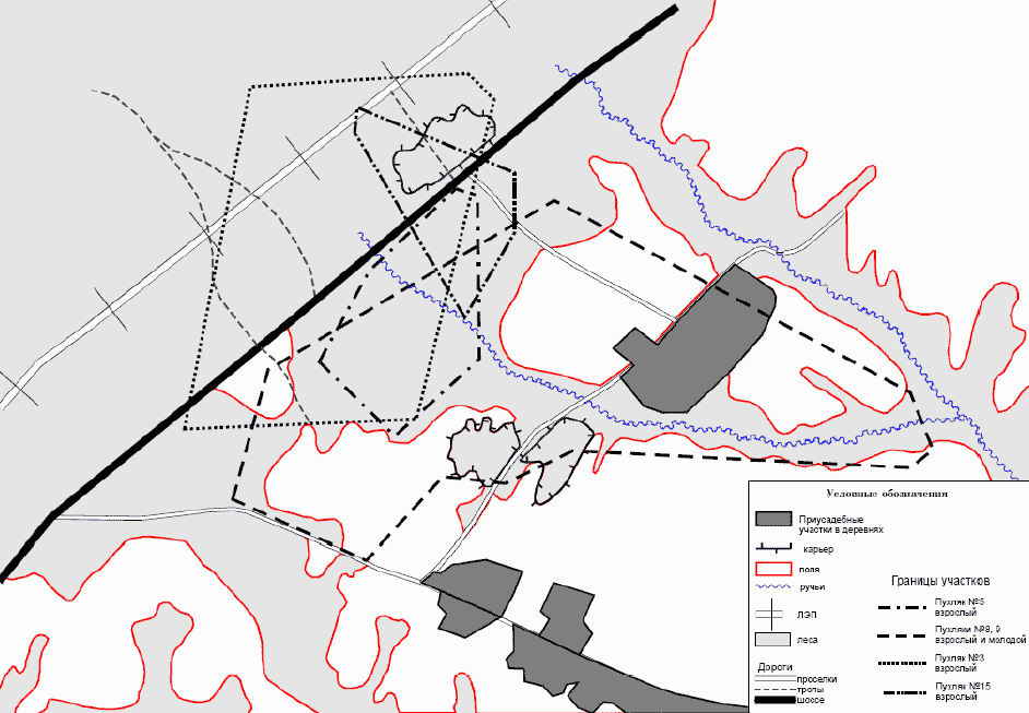 Карта пробной площади и участки обитания пухляков в период наблюдений (обведены по крайним встречам меченых птиц)