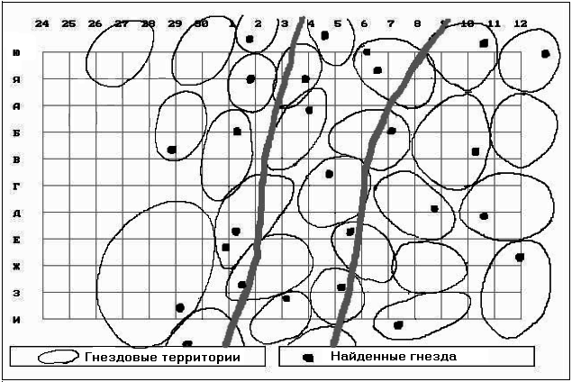  Расположение гнездовых территорий и найденных гнезд в исследуемой популяции сибирского дрозда в 2002 г
