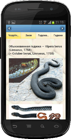 Мобильное приложение Полевой атлас-определитель рептилий (пресмыкающихся) Северной Евразии (России и СССР) для Android - рисунок вида
