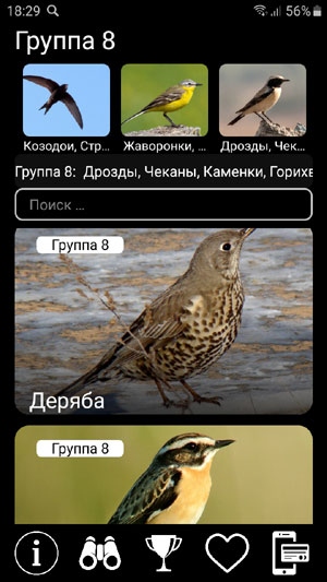 Мобильное приложение Голоса птиц Европы PRO - список видов птиц, определитель, викторина