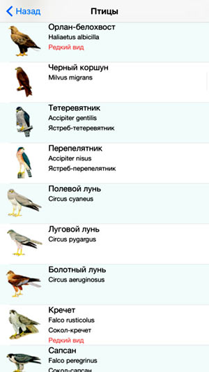 Мобильный полевой определитель птиц для iPnone и iPad: Птицы России - главный экран
