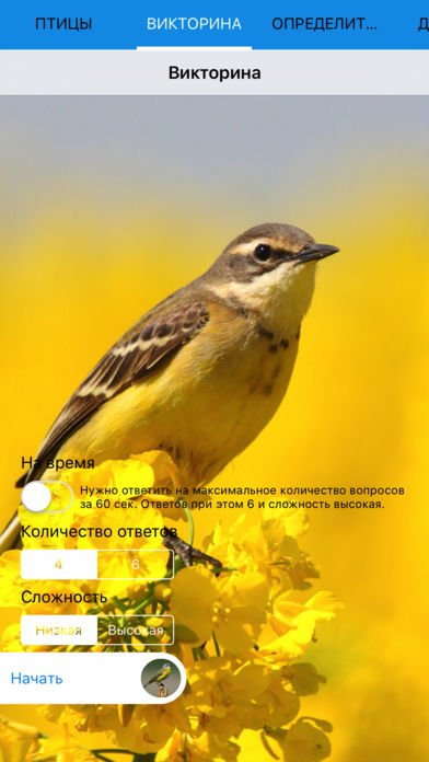 Мобильный полевой определитель птиц для iPnone и iPad: Птицы России - викторина на узнавание видов птиц