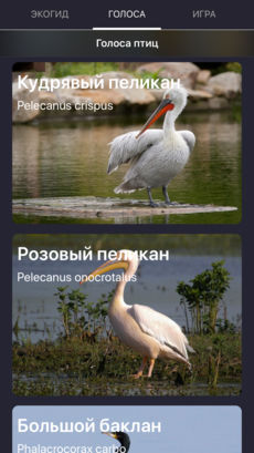 Приложение Голоса птиц России для iPnone и iPad от Apple