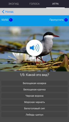 Приложение Голоса птиц России для iPnone и iPad от Apple