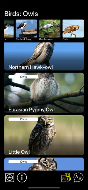 Мобильное приложение Манок на птиц: Птицы Европы - список птиц в группе Совы