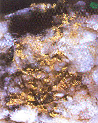 Гнездо рудного золота в кварце. Енисей, Советское. Длина сростка 1,5 см