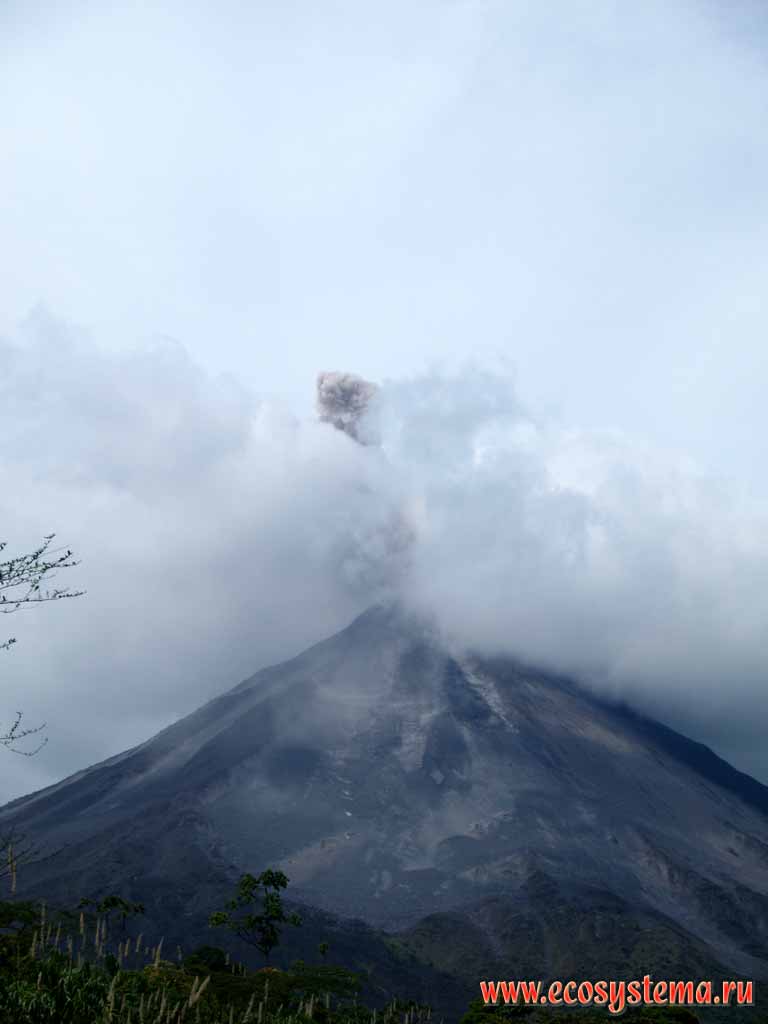 Действующий вулкан Аренал (высота - 1657 м н.у.м.),
постоянно выбрасывающий газы (последнее извержение в 2000 г,
последнее катастрофическое - в 1968).
Национальный парк Аренал, Панамский перешеек