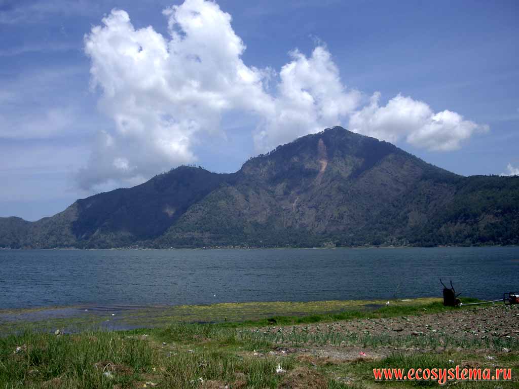 The active Batur volcano (1717 m) on the banks of Kintamani lake.