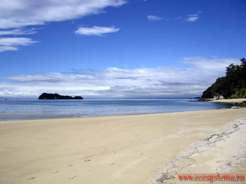 Sandy beach on the shore of Tasman Sea. Fisherman Island is far away.
Abel Tasman National Park, Tasman Sea.
Nelson region, northern part of the South Island, New Zealand
