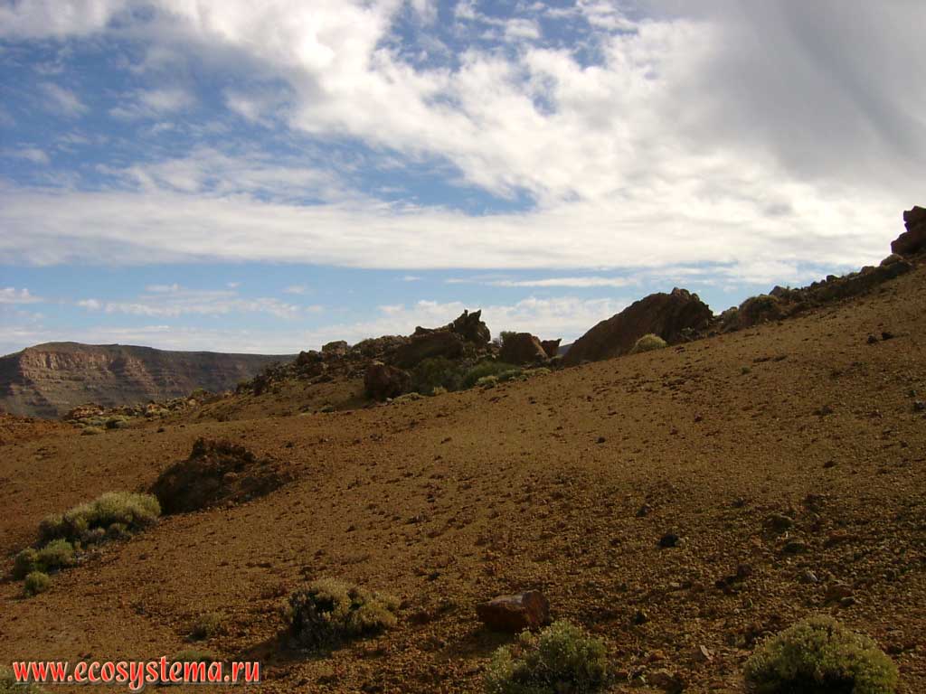 Лавовые поля 2000-летней давности на дне кальдеры Каньядас у подножия
вулкана Тейде. Высота 2500 м над уровнем моря