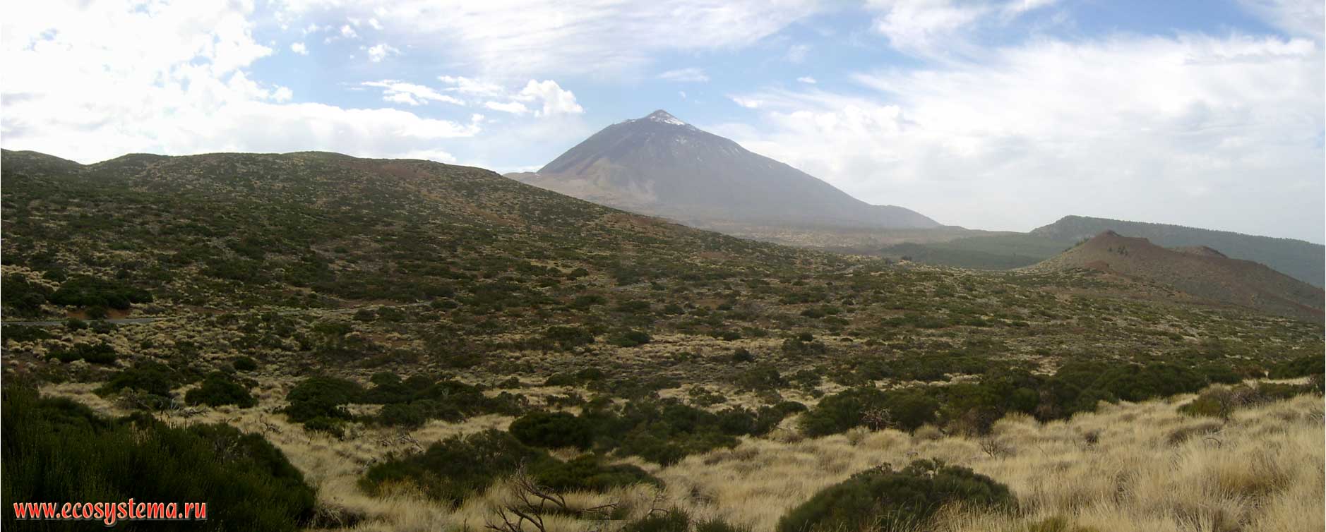 Панорама вулкана Тэйде (3718 м) с северо-восточного края
кальдеры Каньядас. Зона высокогорной ксерофитной растительности
с преобладанием дрока Тейде (Spartocytisus supranubius),
молочая бальзамного (Euphorbia balsamifera) и злаков
