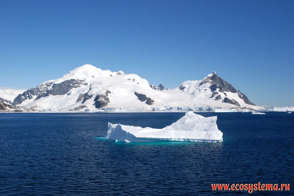 The Cuverville Island, covered with land ice. Small iceberg - the fragment of shelf and land ice.
South Shetland Islands, Weddell Sea, Antarctic peninsula, West Antarctic