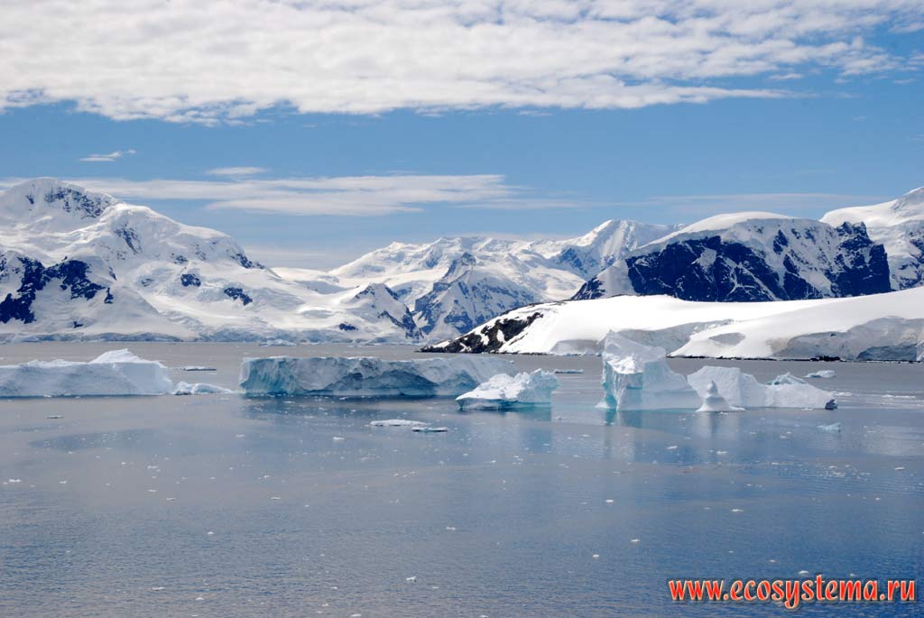 Land ice on the Antarctic peninsula and floating icebergs in the Paradise Bay. Weddell Sea, West Antarctic