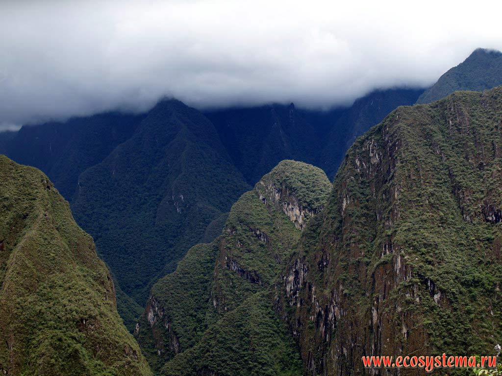 The steep slopes of the Eastern Cordillera mountains, covered with mountain tropical forest and shrubs. The elevation is about 2500 m above sea level.
The Central Andes mountain system, or Sierra, Machu Picchu surroundings, Cusco (Cuzco) Department, Eastern Peru