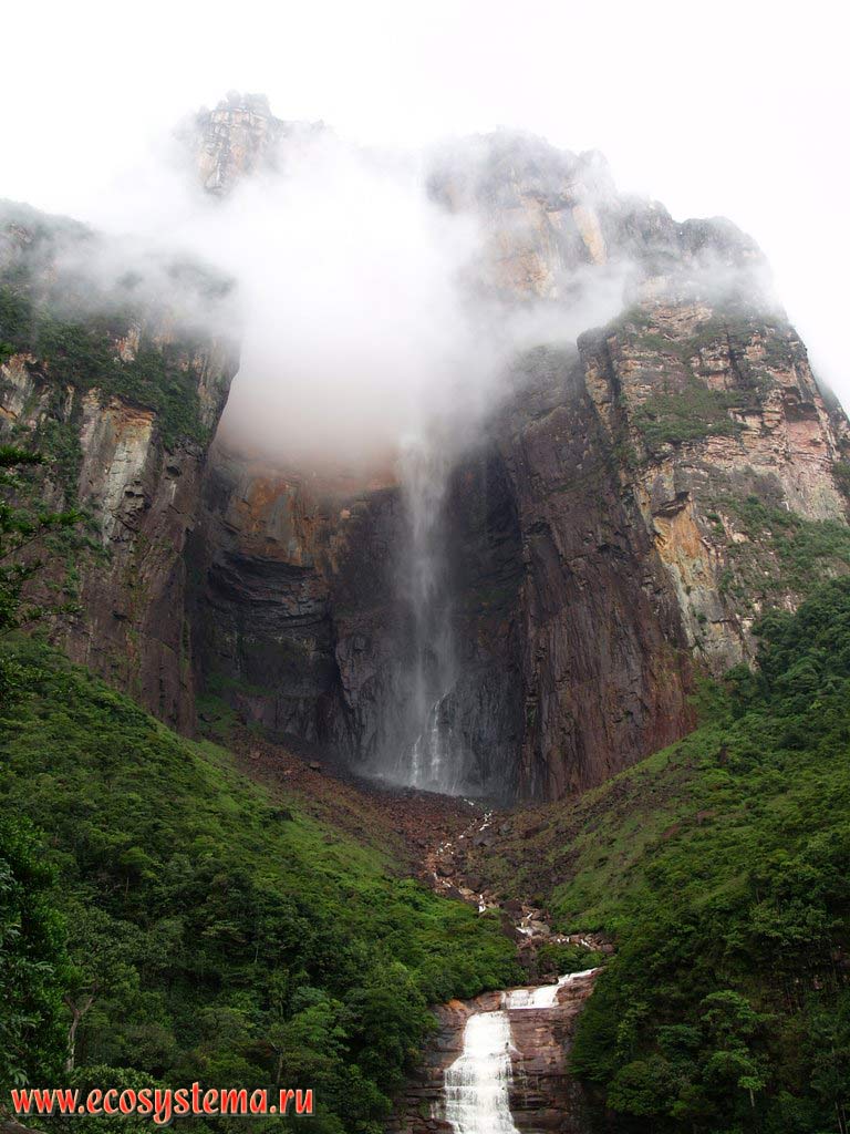 The Angel waterfall, or Salto Angel - the highest waterfall in the world.The total height is 1054 meters, the height of the free fall is 979 meters.
The Churun River (a tributary of the Caroni River) flowing down from the Auyantepui (Auyantepuy, Auyan-Tepui or Aiyan-tepui, Devil's Mountain) table-mountain, 2950 meters height.
The humid tropical forest zone, Guiana Highlands, Canaima National park, Bolivar State, Venezuela