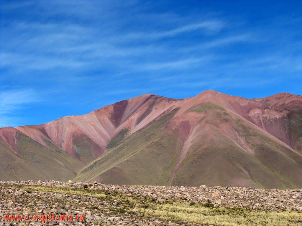 Каменистая высокогорная пустыня (холодная пустыня на вершинах) в горах Сьерра-Колорадо (вершины - около 5500 метров над уровнем моря).
Восточные склоны Андийского плоскогорья. Прекордильеры, провинция Сальта (северо-запад Аргентины недалеко от границы с Боливией)