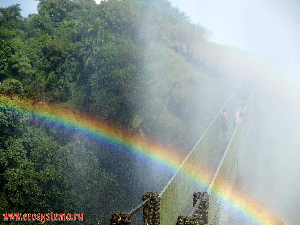 The rainbow over the Victoria Falls, or Mosi-oa-Tunya (the Smoke that Thunders) on the Zambezi River.
Mosi-oa-Tunya National Park, Southern Zambia, South African Plateau
