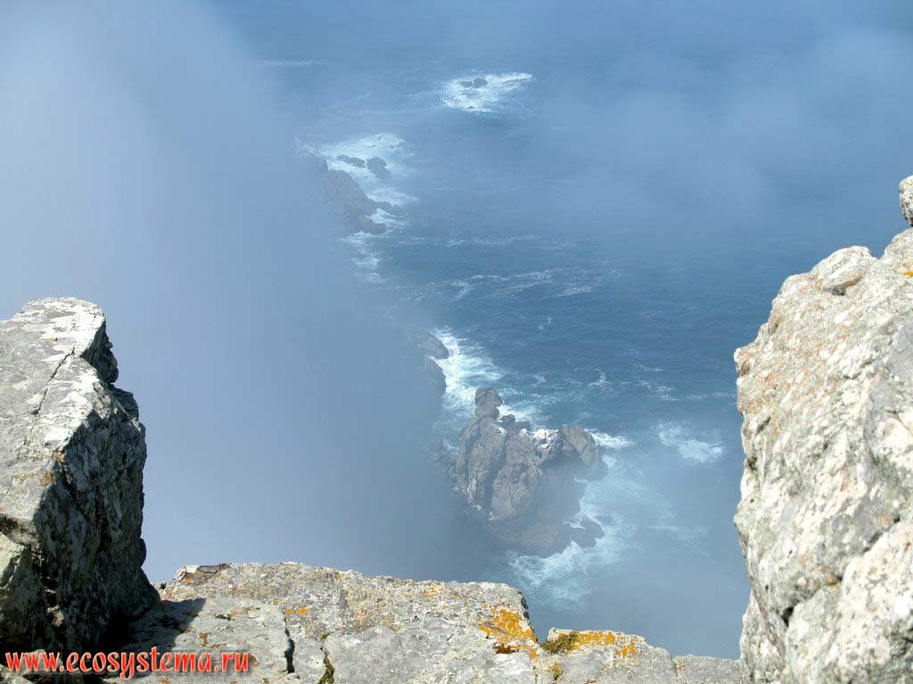 Скалы и эрозионный берег в полосе прибоя Атлантического океана. Южная Африка, Капские горы, южное побережье ЮАР